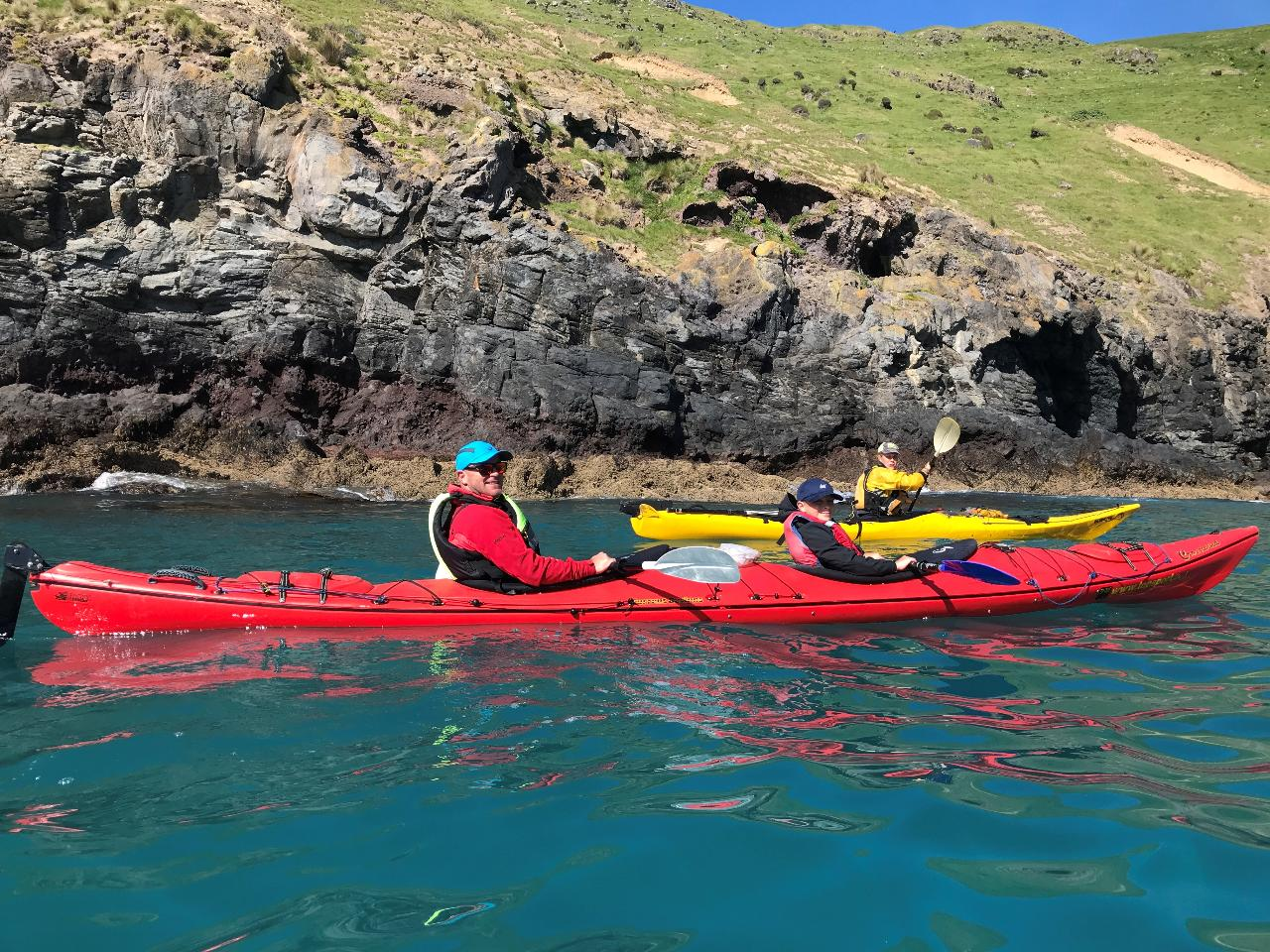 Akaroa Guided Kayaks - Small Group Tour - Photo 1 of 24